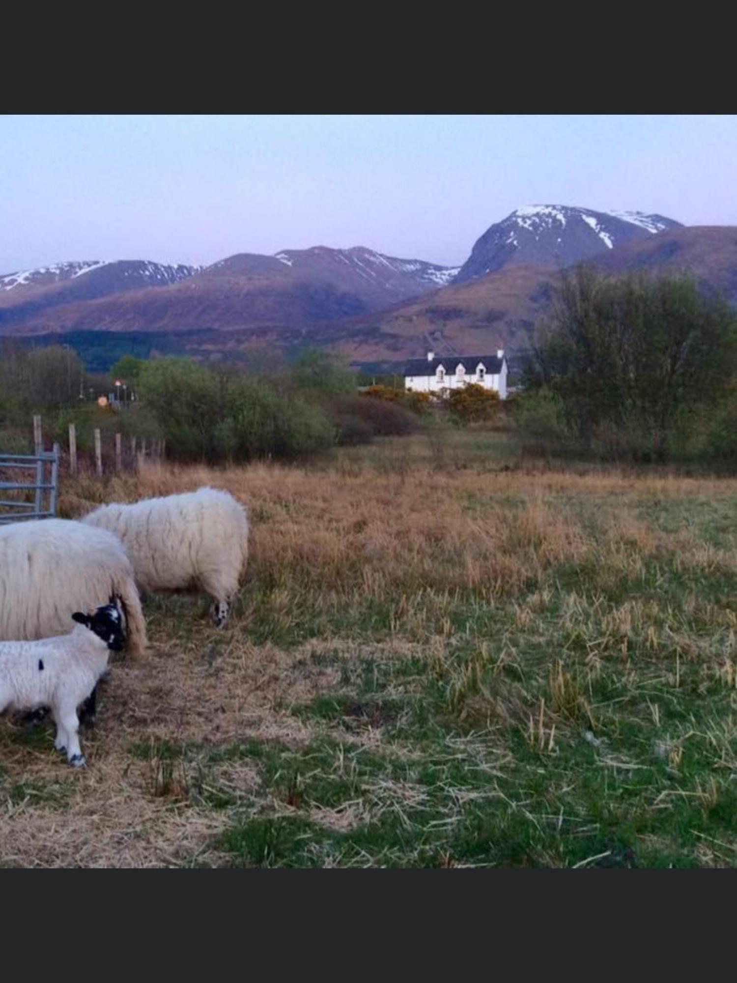 The Shielings By Inverlochy Villas Fort William Exterior foto